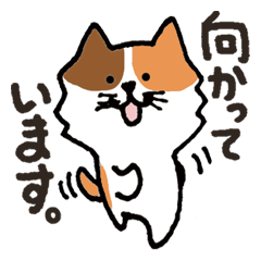 LINEスタンプ：連絡にゃんこ
